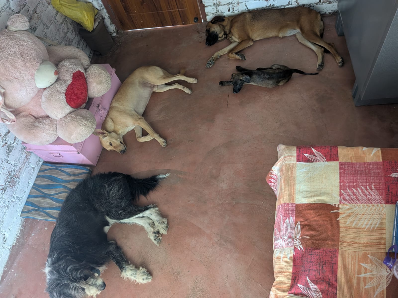 Mishti, Imli, Minus and Barfi